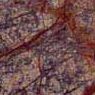 Bedasar Brown