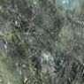 Lemurian Blue