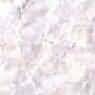 Aloides Semi White