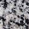 Branco Dalmata