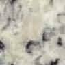 Blanco Caceres