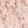 Camelia Pink