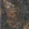 Chestnut Brown