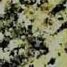 Crystal Gold