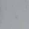 Danba White