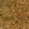 Golden Vinhal