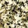 Gris Morrazo