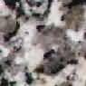Grissal