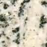 Gris Toledo