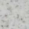 Mongolian White