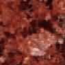 New Imperial Red