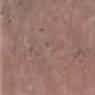 Plain Pink