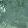 Styra Green