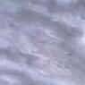 Grey of Tranovaltos