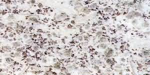 ������. White Pearl white granite