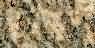Tiger Skin Ello