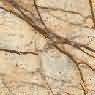 Bidasar Brown