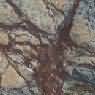 Bidasar Brown