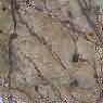 Bidasar Gold