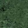 Verde Guatemala Forest