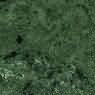 Verde Guatemala Forest