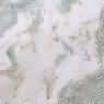 Misty White Rose