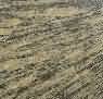 Olive Royal pistachio granite