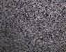 Sesame Black