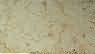 Cream Royal Antique