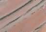 Salmon Pink