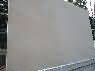 Teak Wood