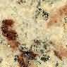 Ivory Brown