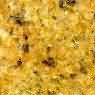 Madura Gold