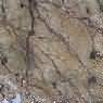 Bidasar Gold