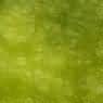 Verde Jade