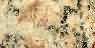 Ivory Brown