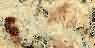 Ivory Brown