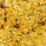 Madura Gold