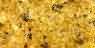 Madura Gold