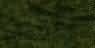 Tropical Green